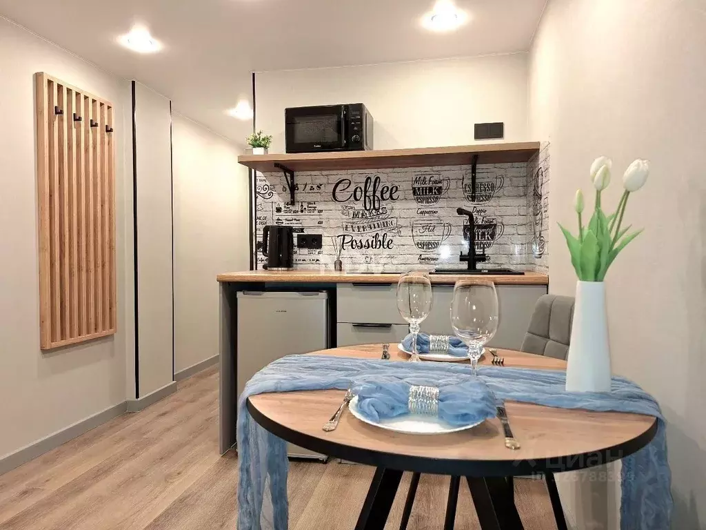 Студия Москва 14-я Парковая ул., 8 (24.0 м) - Фото 1