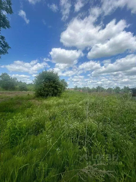 Участок в Хабаровский край, Хабаровск Надежда СТ, 397 (5.58 сот.) - Фото 1
