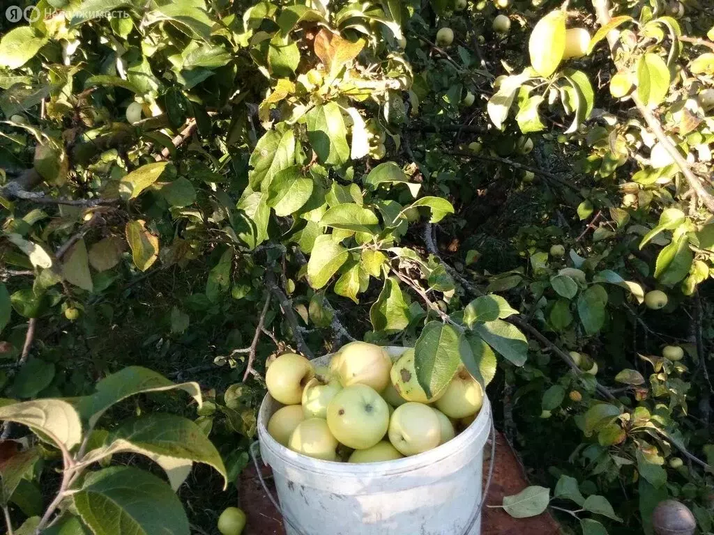 Дом в село Фокино, улица Чкалова, 36 (120 м) - Фото 1