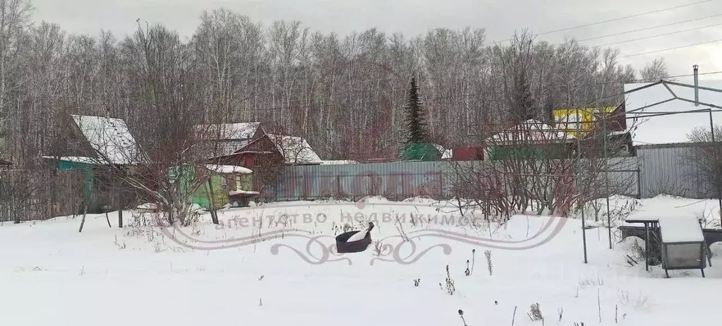 Участок в Курганская область, Кетовский муниципальный округ, Ясная ... - Фото 0