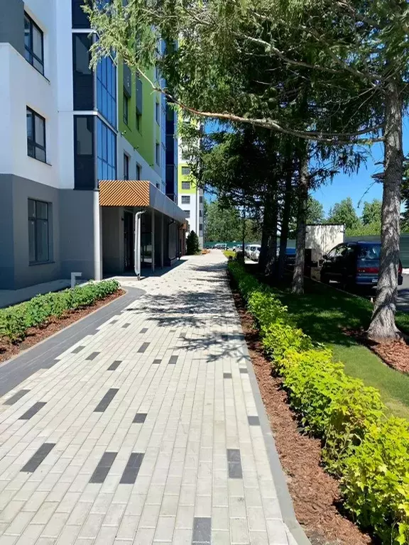 Студия Новосибирская область, Новосибирский район, Мочищенский ... - Фото 2