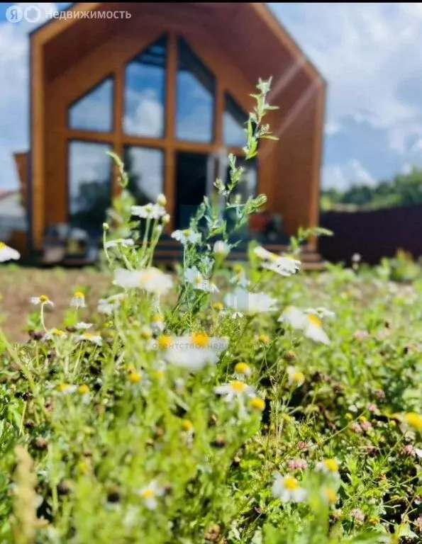 Дом в Московская область, муниципальный округ Чехов, деревня Чудиново, ... - Фото 2