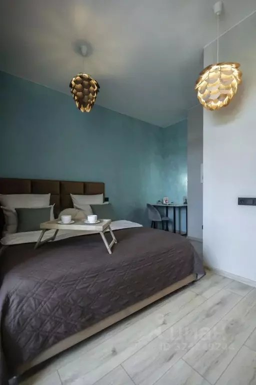 1-к кв. Иркутская область, Иркутск ул. Карла Либкнехта, 201 (30.0 м) - Фото 1