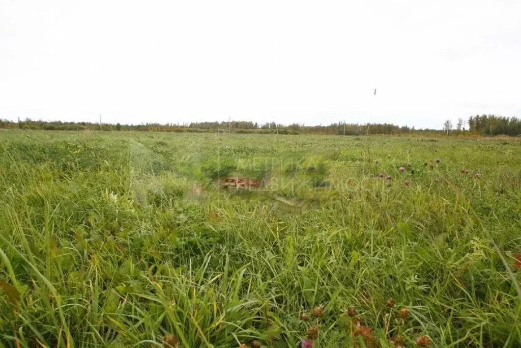 Участок в Тюменский район, село Мальково (7.5 м) - Фото 0