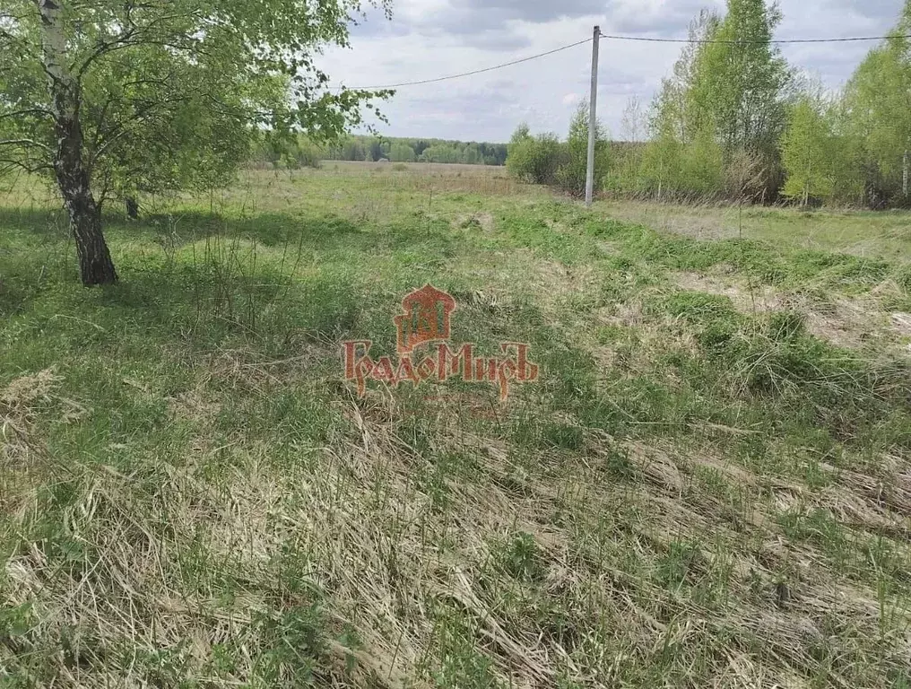 Участок в Московская область, Сергиево-Посадский городской округ, д. ... - Фото 2
