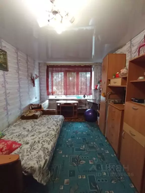 1-к кв. Курганская область, Шадринск ул. Мошкалева, 1 (29.6 м) - Фото 1