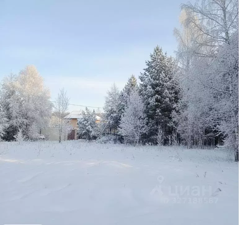 Участок в Кировская область, Киров Славич СДТ,  (6.0 сот.) - Фото 2