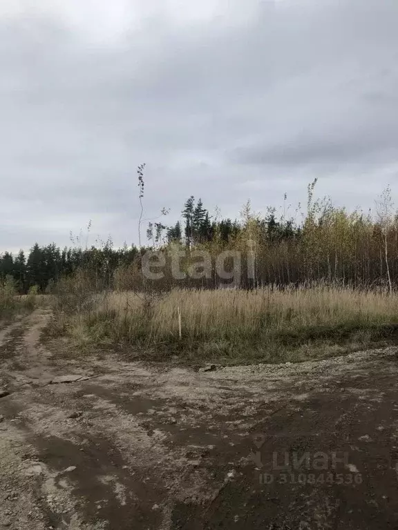 Участок в Воронежская область, Хохольский район, с. Новогремяченское  ... - Фото 1