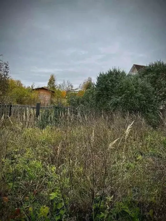 Участок в Новгородская область, Малая Вишера ул. Гагарина, 6 (6.0 ... - Фото 2