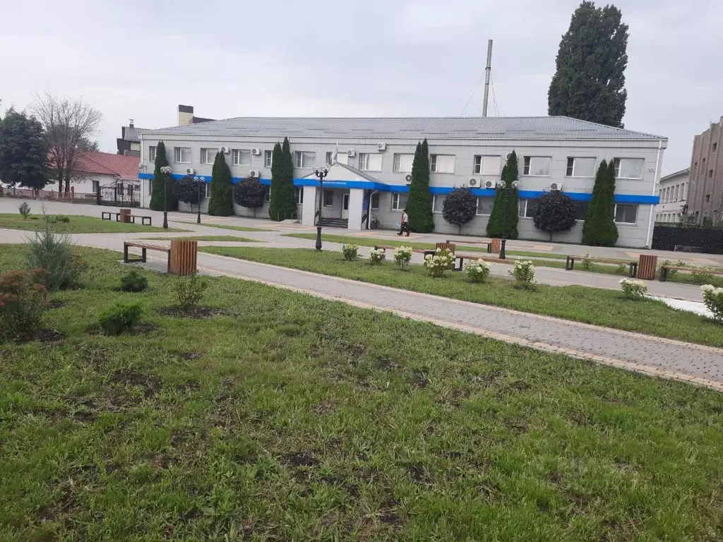 3-к кв. Воронежская область, Таловая рп проезд Буденного, 31 (64.0 м) - Фото 1