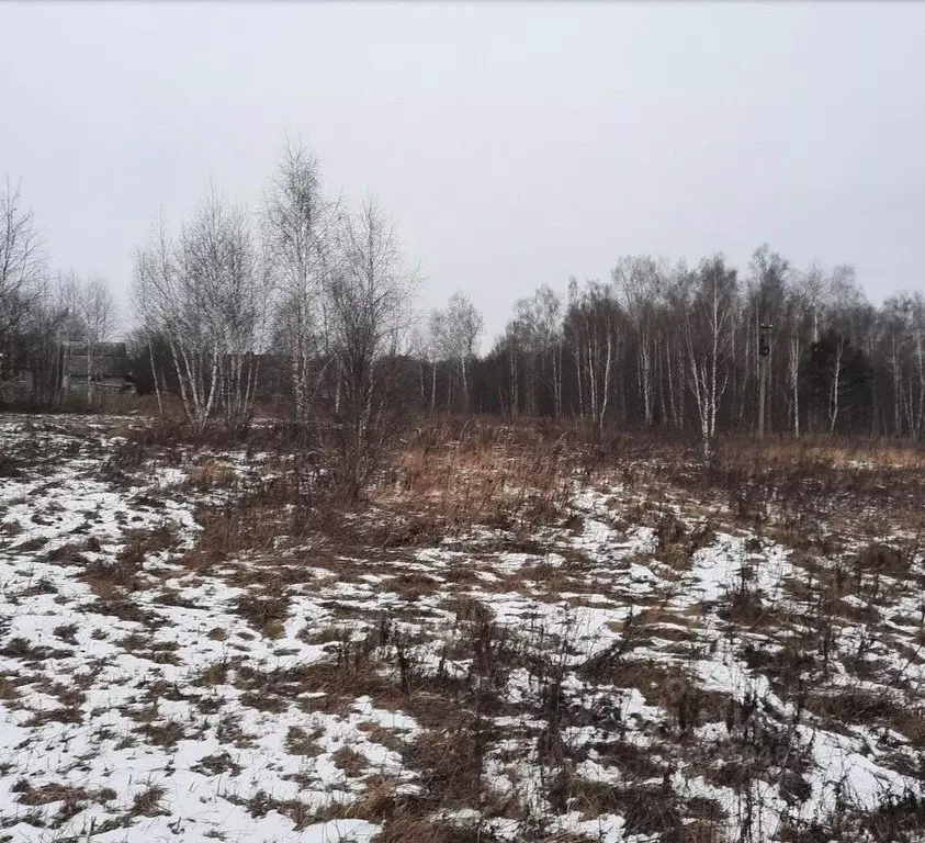 Участок в Московская область, Ступино городской округ, д. Тростники ... - Фото 0