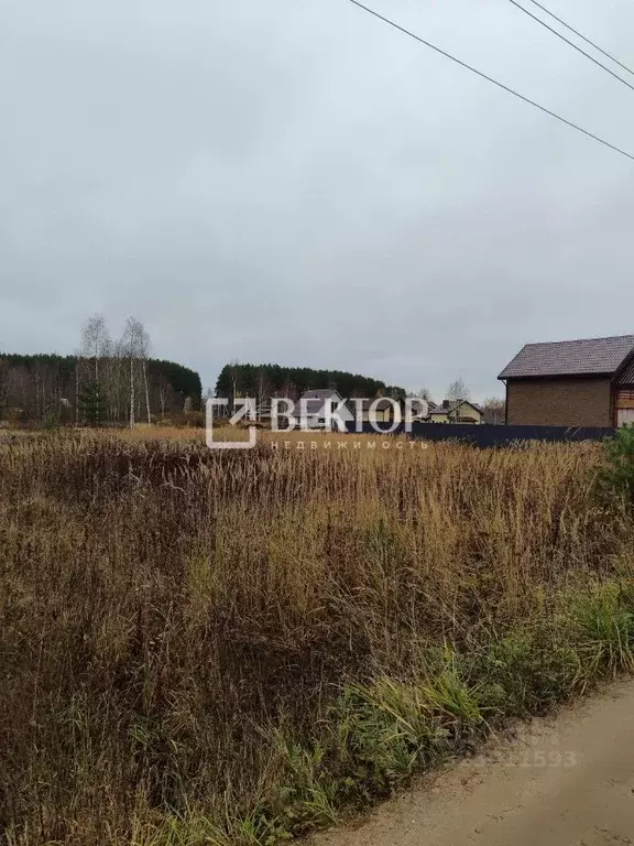 Участок в Ярославская область, Ярославский муниципальный округ, пос. ... - Фото 2