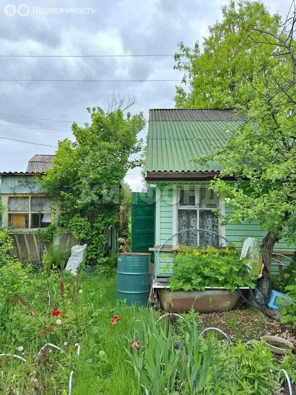 Участок в Барышевский сельсовет, некоммерческое садоводческое ... - Фото 1