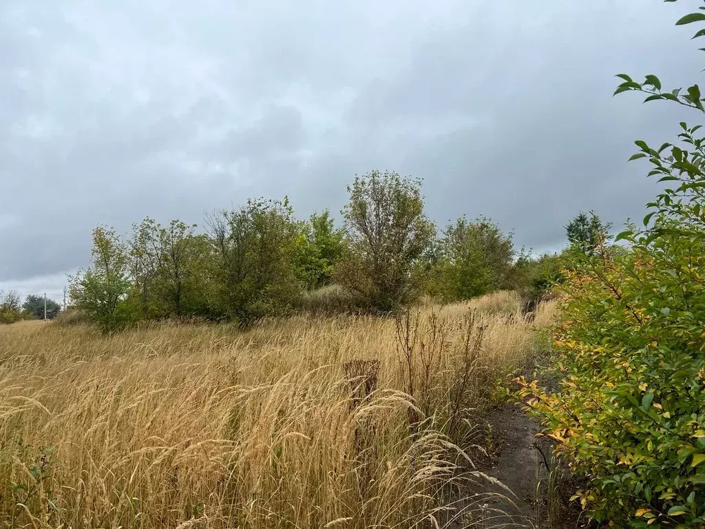 Участок в Самарская область, Ставропольский район, Васильевка с/пос, ... - Фото 1
