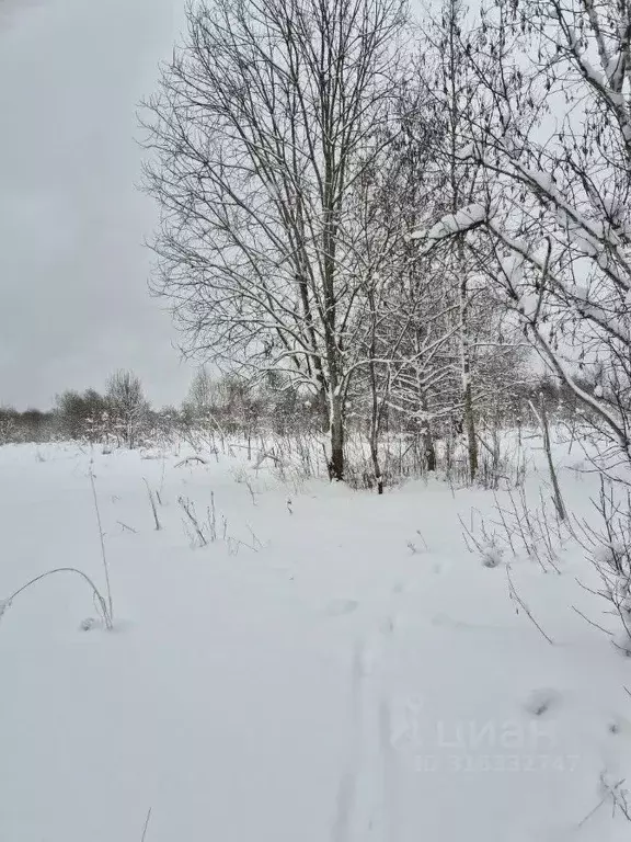 Участок в Ленинградская область, Всеволожский район, Куйвозовское ... - Фото 0