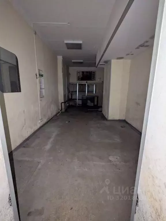 Помещение свободного назначения в Калининградская область, Балтийск ... - Фото 1