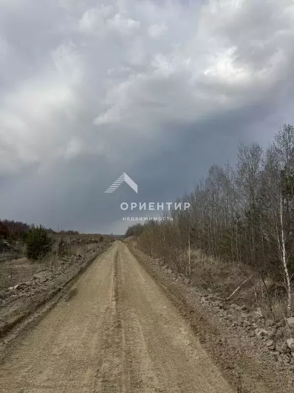 Участок в Свердловская область, Березовский ул. Новосвердловская (34.0 ... - Фото 2