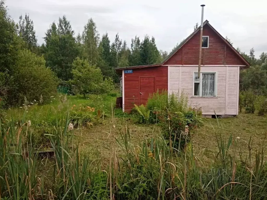 Участок в Ленинградская область, Кировский район, Мгинское городское ... - Фото 1
