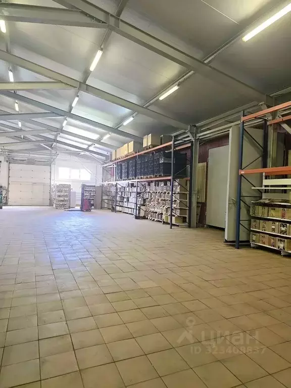 Склад в Московская область, Пушкинский городской округ, Лесной пгт ул. ... - Фото 2