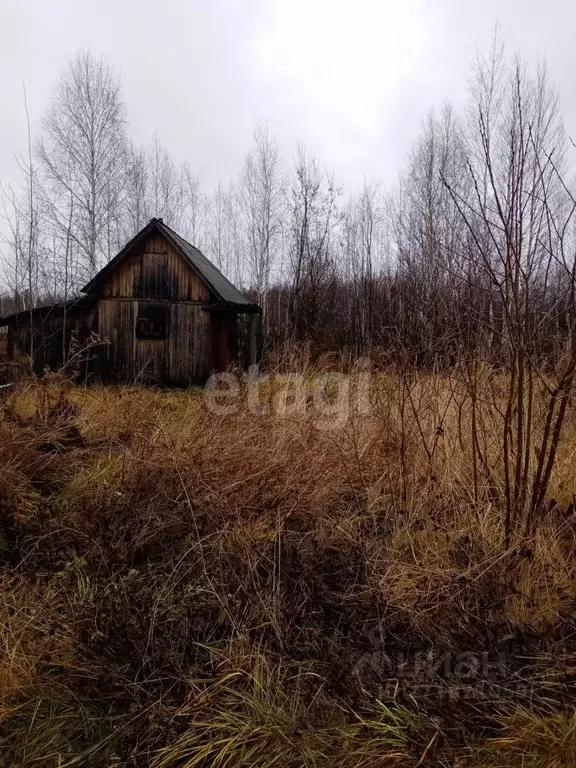 Участок в Свердловская область, Нижний Тагил Роща СНТ,  (6.0 сот.) - Фото 0