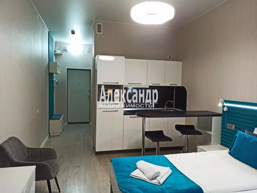 Студия Санкт-Петербург Пулковское ш., 14с6 (27.0 м) - Фото 1