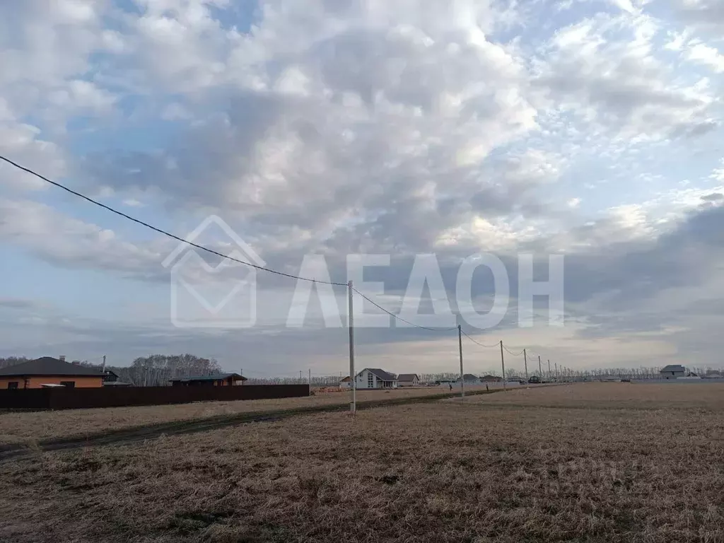 Участок в Омская область, Омский район, с. Пушкино ул. Луговая (14.45 ... - Фото 2