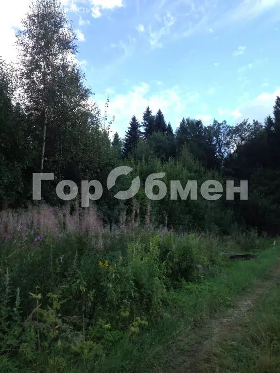 Участок в Сергиево-Посадский городской округ, садовое товарищество ... - Фото 1