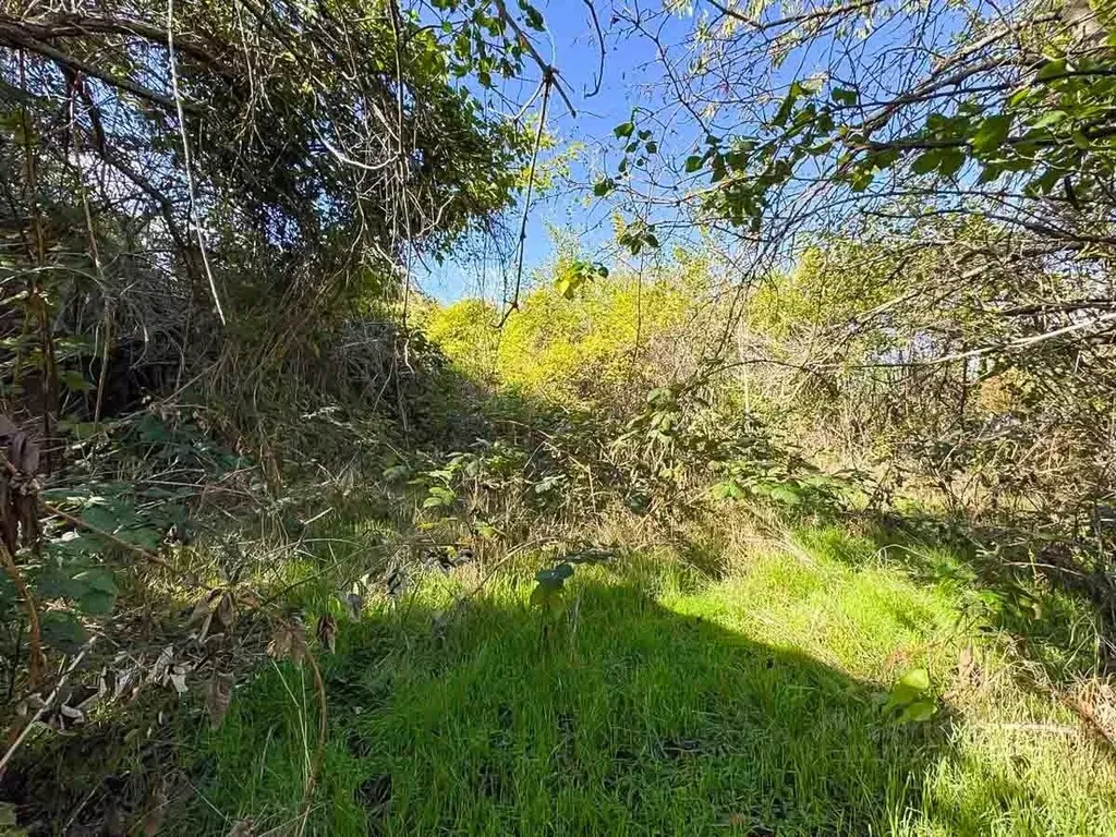Участок в Крым, Симферопольский район, Добровское с/пос, с. Мраморное, ... - Фото 2