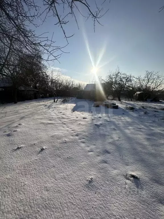 Участок в Калининградская область, Балтийск Труд СНТ,  (10.34 сот.) - Фото 1