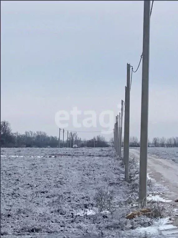 Участок в Ростовская область, Мясниковский район, Краснокрымское ... - Фото 0