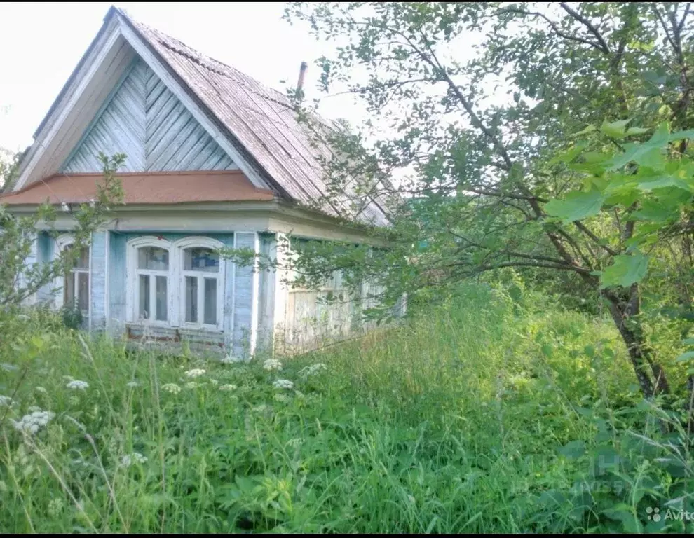 Дом в Нижегородская область, Чкаловск городской округ, с. Катунки ул. ... - Фото 1