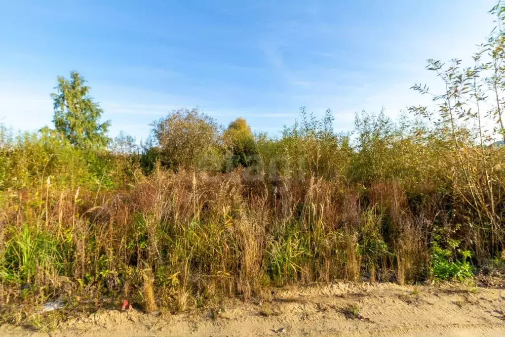 Участок в Тюменская область, Тюмень Поле Чудес-2 садовое товарищество, ... - Фото 1
