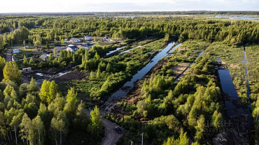 Участок в Ленинградская область, Всеволожск ш. Южное (6.0 сот.) - Фото 1