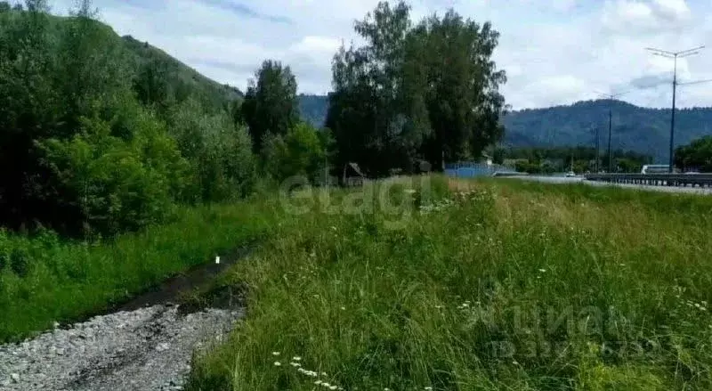 Участок в Алтай, Майминский район, пос. Рыбалка  (17.0 сот.) - Фото 1