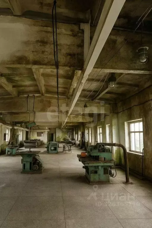 Помещение свободного назначения в Брянская область, Новозыбков ул. ... - Фото 2