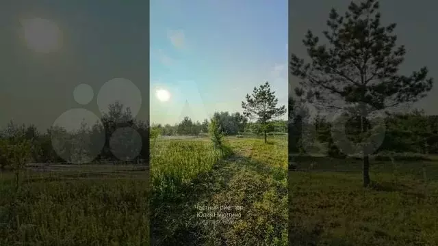Участок 6 сот. (ИЖС) - Фото 1