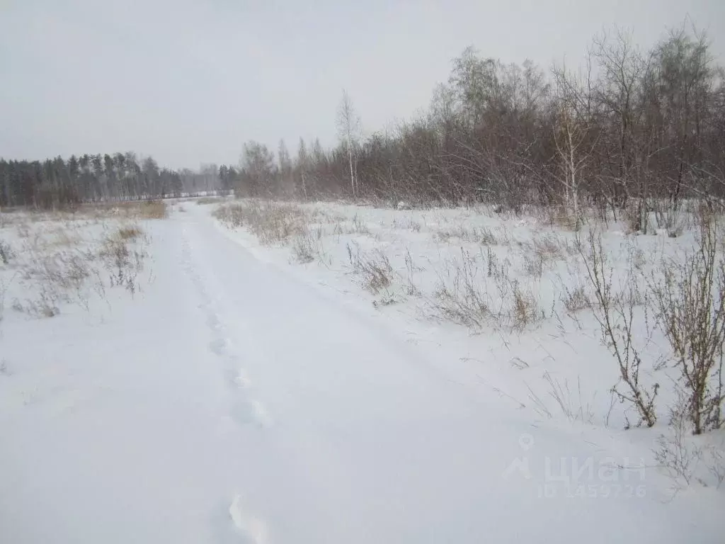 Участок в Челябинская область, Копейский городской округ, с. Калачево  ... - Фото 0