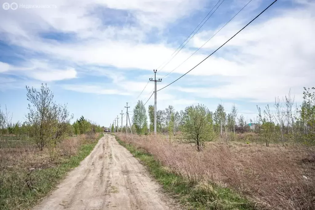 Участок в Бердск, ТЛПХ Любавино (11.3 м) - Фото 2