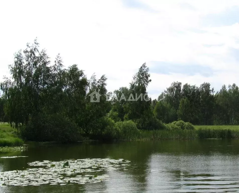 Участок в село Фроловское, Дорожная улица (6400 м) - Фото 1
