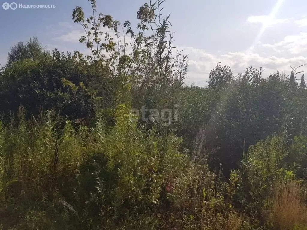 Участок в Отрадовский сельсовет, СНТ Незабудка (4 м) - Фото 1