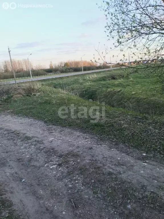 Участок в Новгородский район, Савинское сельское поселение, деревня ... - Фото 1