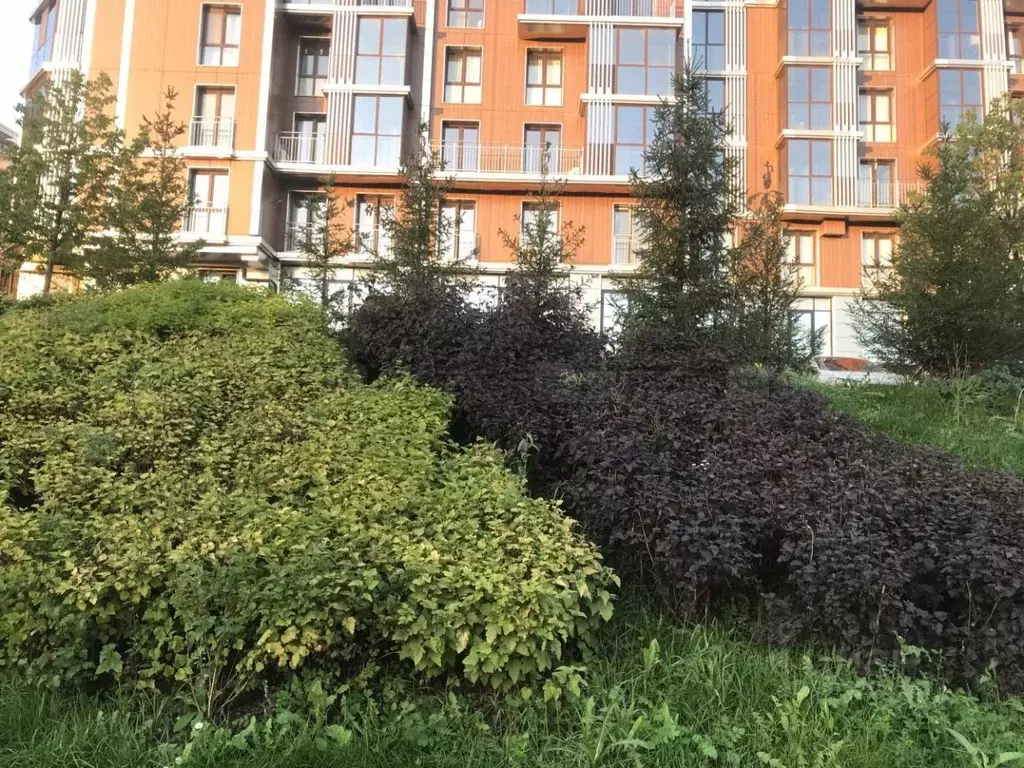 1-к кв. Татарстан, Казань ул. Волкова, 12 (35.7 м) - Фото 0