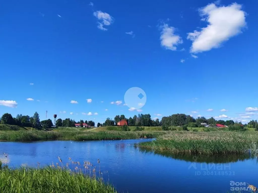 Участок в Ленинградская область, Тосненский район, Трубникоборское ... - Фото 1