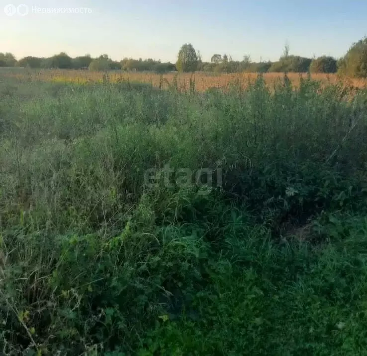 Участок в Тургиново, квартал Льнозавод (19.8 м) - Фото 1