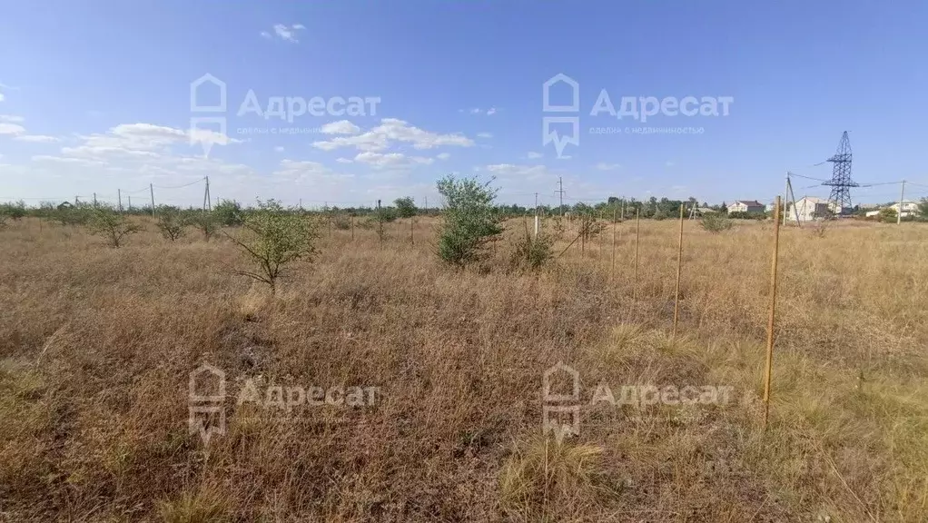 Участок в Волгоградская область, Волгоград ул. Жасминовая (10.82 сот.) - Фото 2