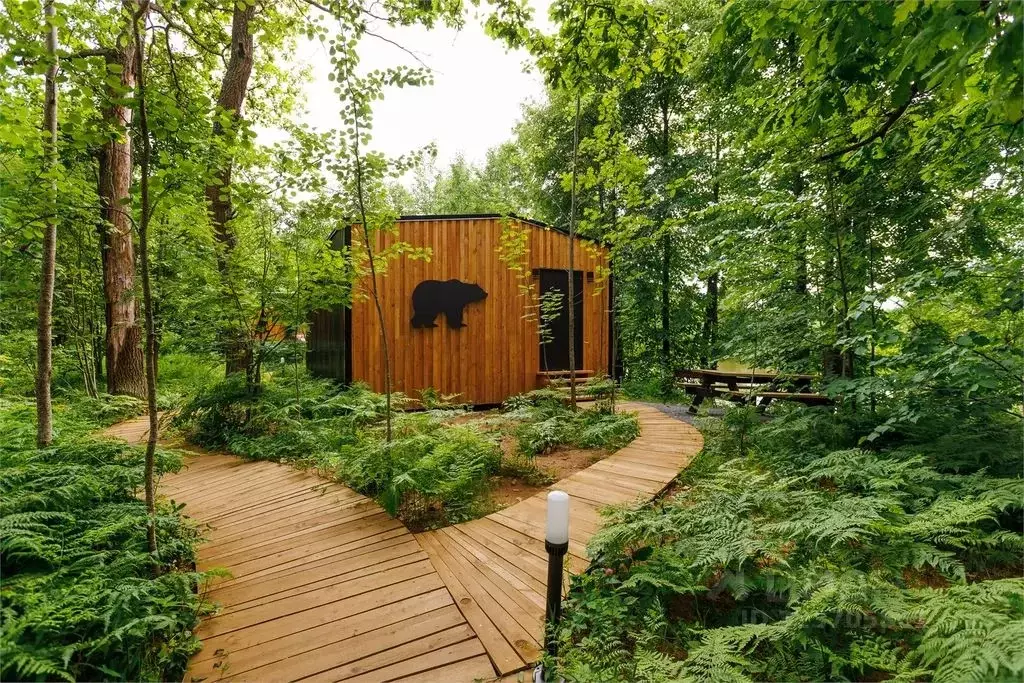 Дом в Нижегородская область, Бор  (48 м) - Фото 1