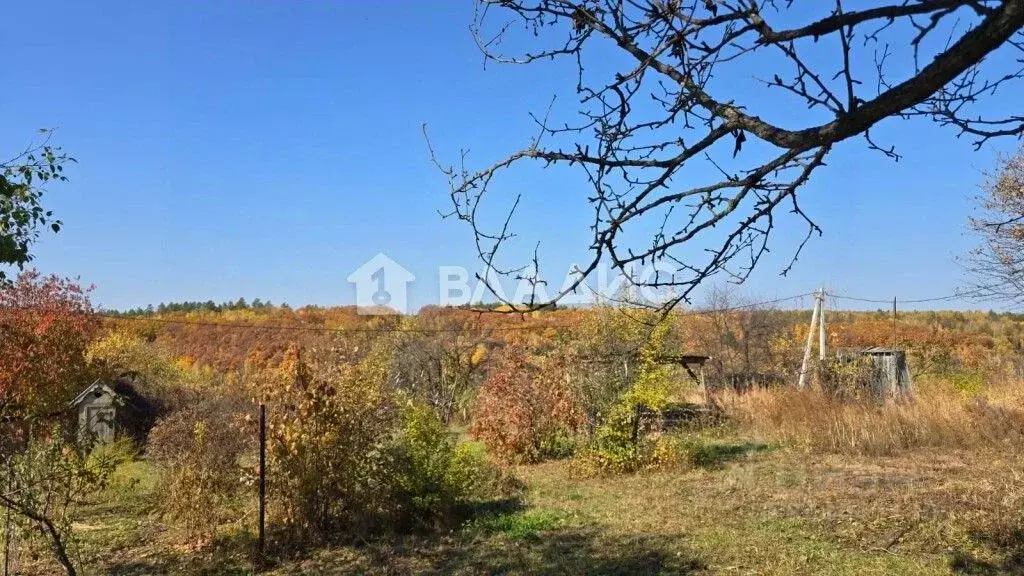 Участок в Амурская область, Благовещенск Светлана СТ,  (5.77 сот.) - Фото 1