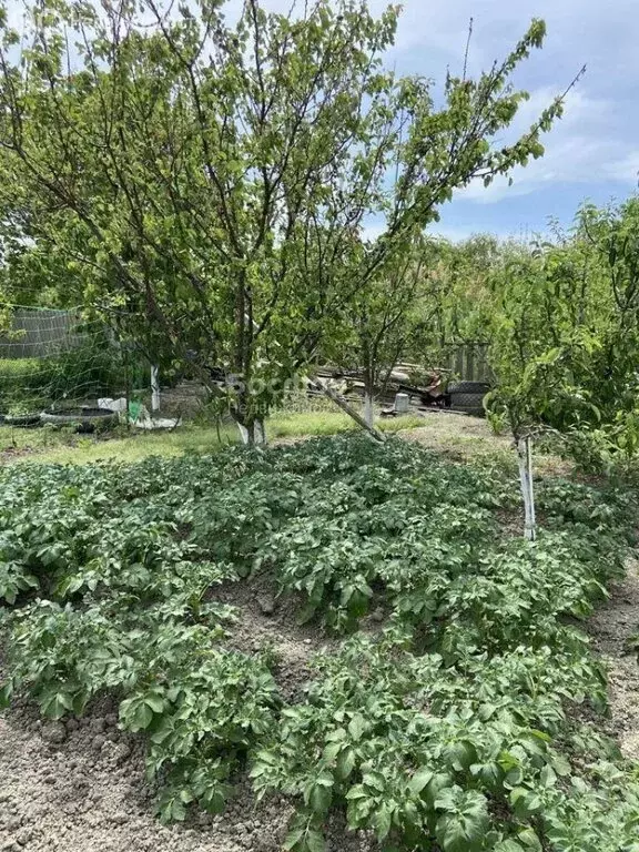 Дом в Ближнее, Новая улица (52 м) - Фото 1