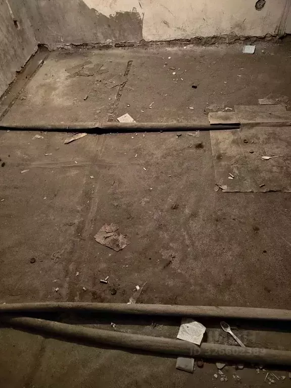 Помещение свободного назначения в Карелия, Петрозаводск ул. Свердлова, ... - Фото 1