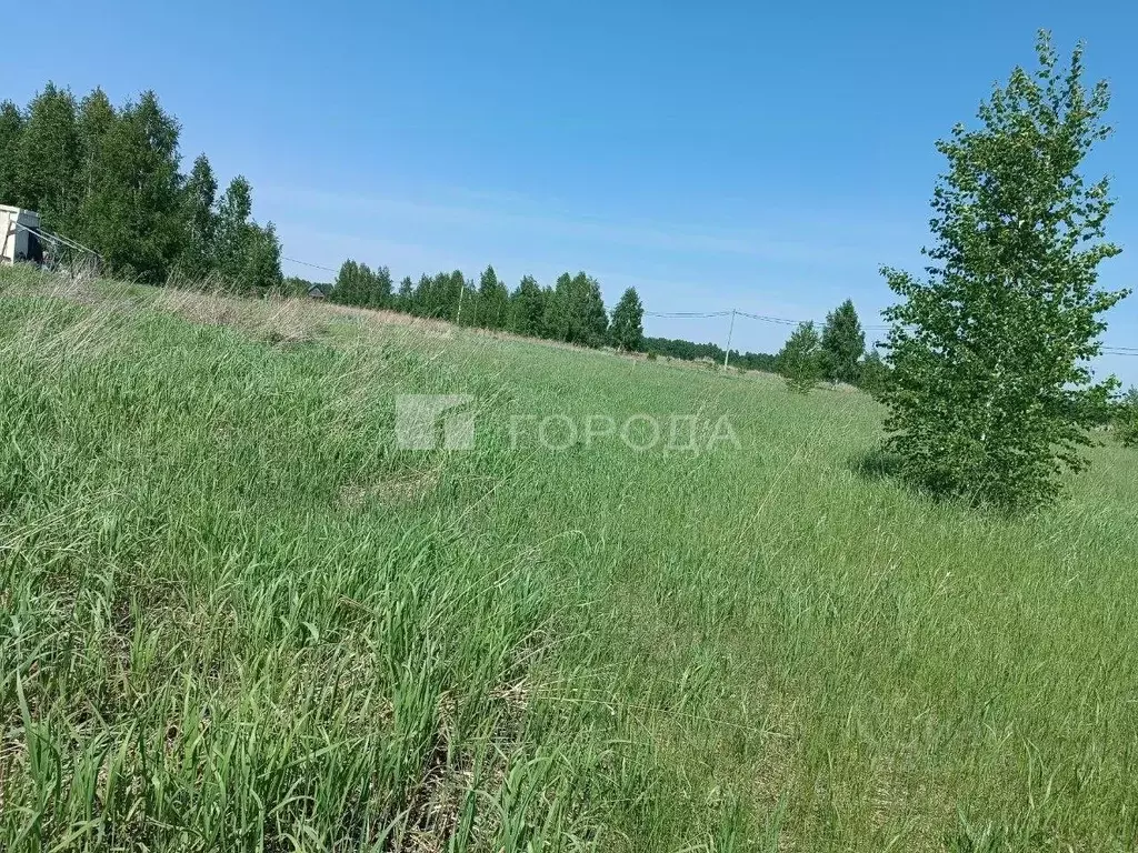 Участок в Новосибирская область, Новосибирский район, Морской ... - Фото 1